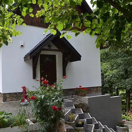 Dom wakacyjny Trzy Strumyki Kąty Bystrzyckie
