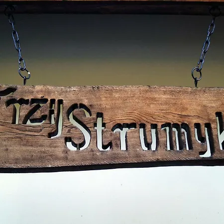 別荘 Trzy Strumyki Kąty Bystrzyckie