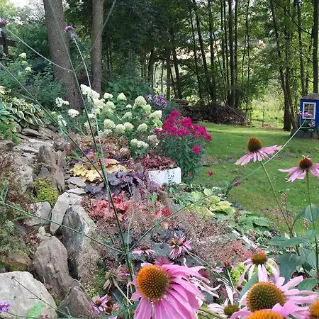 Trzy Strumyki Katy Bystrzyckie