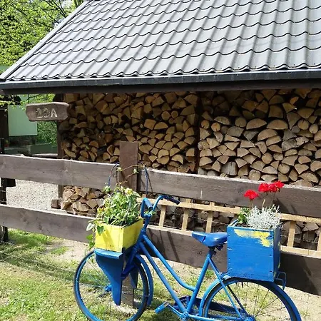 別荘 Trzy Strumyki